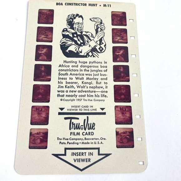 Tru-Vue Film Card Stereoview Boa Constrictor Hunter Snakes Reptiles Vintage M-11 - Picture 4 of 6